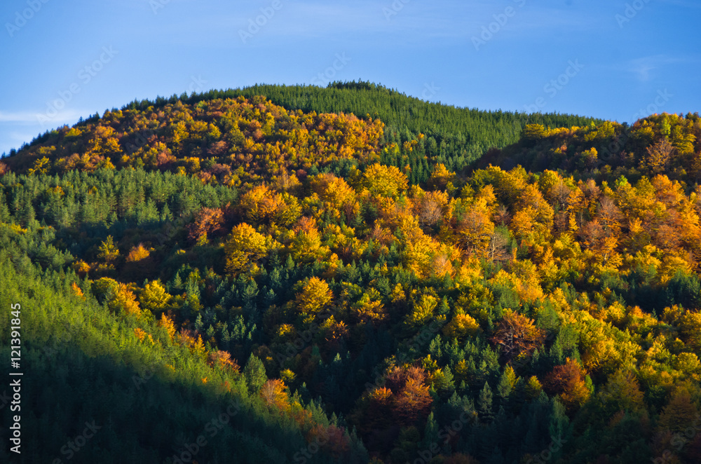 Autumn forest colors at rolling hills of Zeljin mountain, Serbia