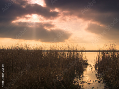 Wild nature in the autumn season