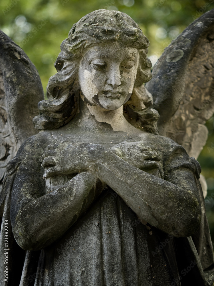 Obraz premium anioł