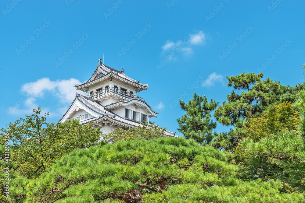 Obraz premium 長浜城本丸風景