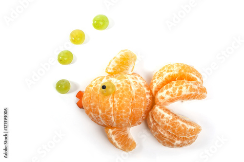 Food art creative concepts. Animals made of many fruits over white background
