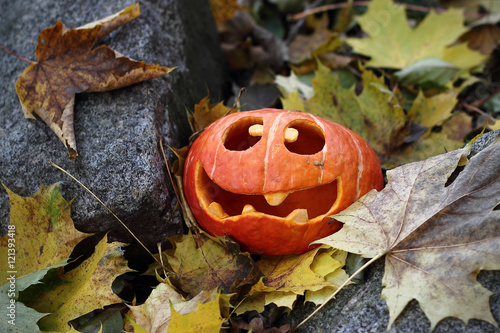 kürbis halloween im wald 5