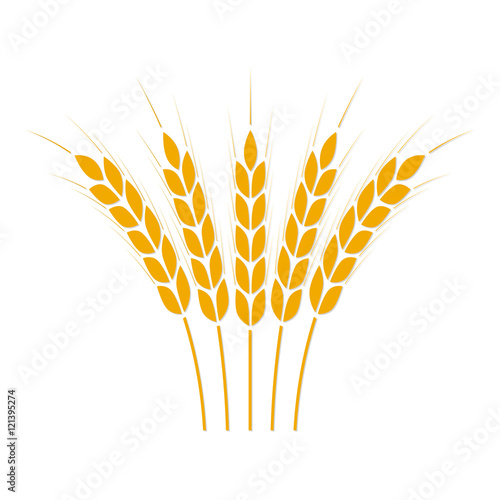 Wheat ears or rice icon. Crop symbol isolated on white background. Design element for bread packaging or beer label. Vector illustration.