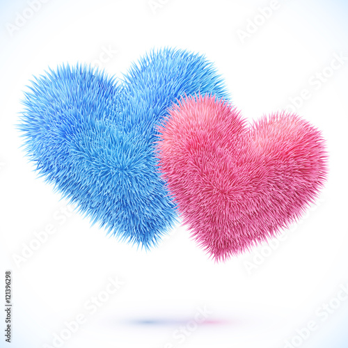 Blue and pink pair of vector hearts