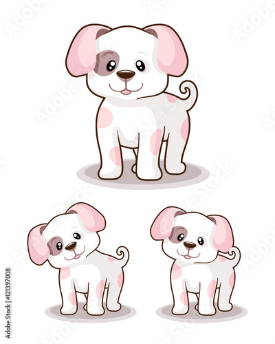 puppy dog / cute little dog