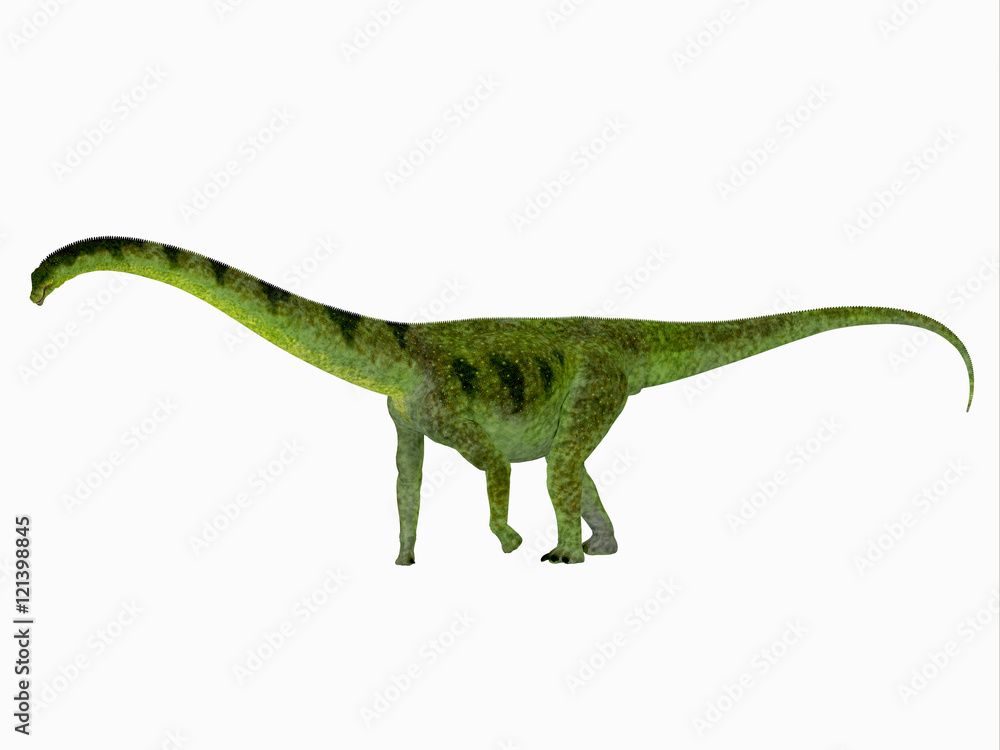 Puertasaurus Dinosaur Side View - Puertasaurus a herbivorous sauropod dinosaur that lived in Patagonia the Cretaceous Period. Stock-illustration | Adobe Stock