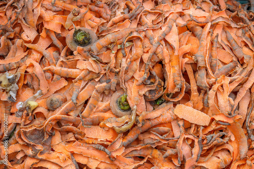 carrots waste
