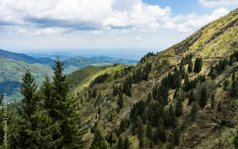 Grüner Berg