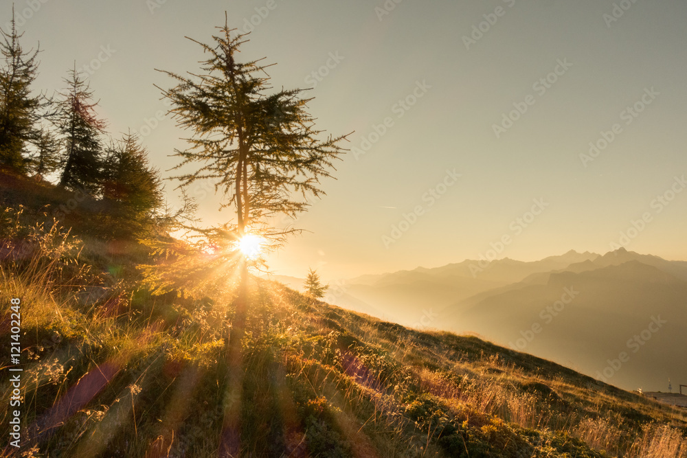 Morgensonne über den Alpen - obrazy, fototapety, plakaty 