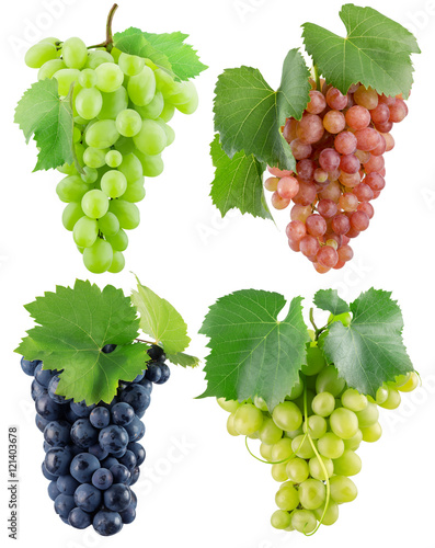 collection of grapes isolated on the white background