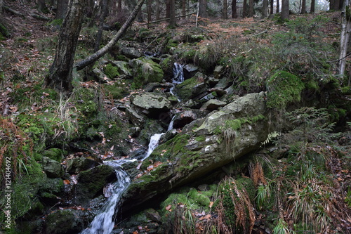 Herbstwanderung. In belgischer Moor- und Berglandschaft.