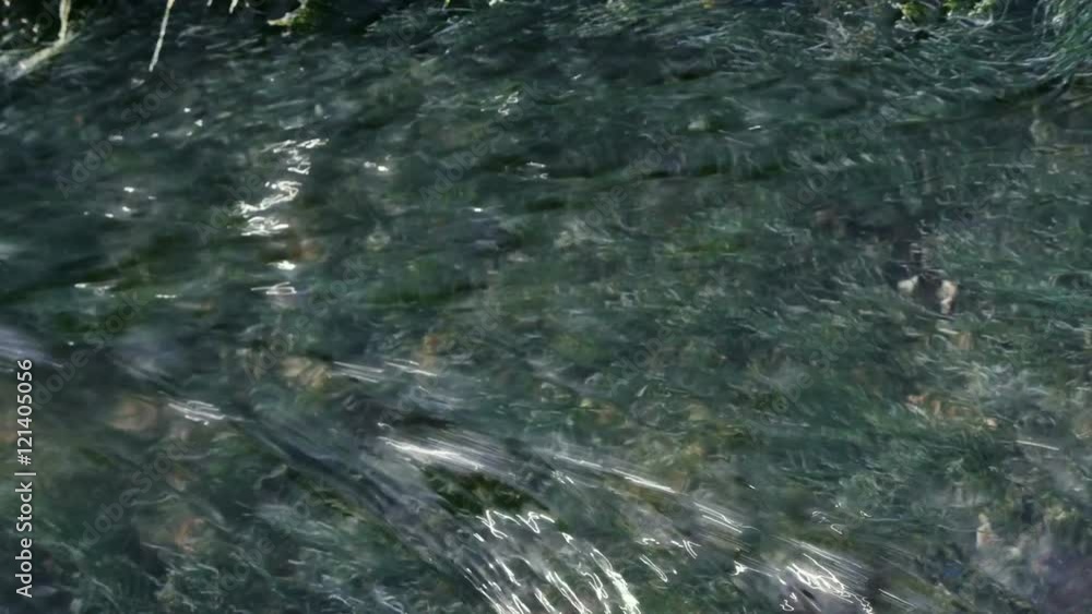 Flowing water in the stream. Flowing water in the stream.