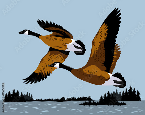 Wild ducks fly over the river