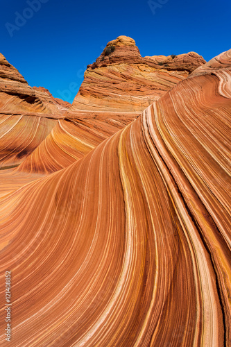 Фотография Coyote Buttes in the Vermilion Cliffs Arizona