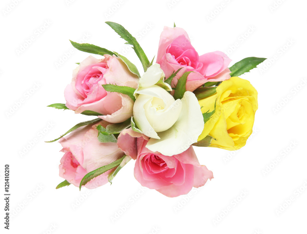 薔薇 薔薇
