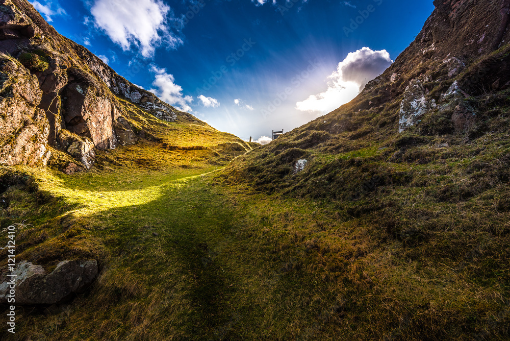 Obraz premium Sunbeams