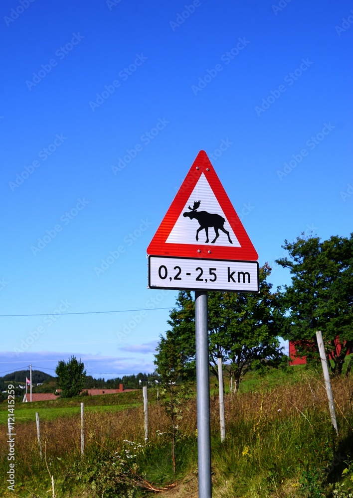 Moose crossing road sign in Norway