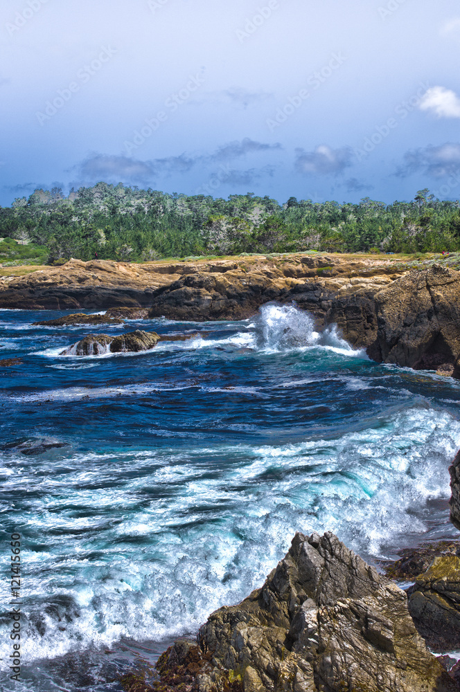 Point Lobos park, CA Point Lobos park, CA