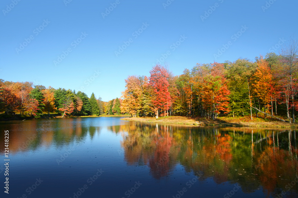 Allegheny national forest