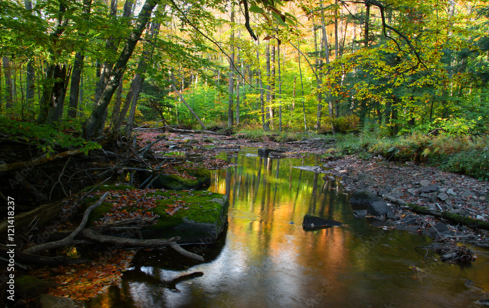 Obraz premium Autumn stream in sun set