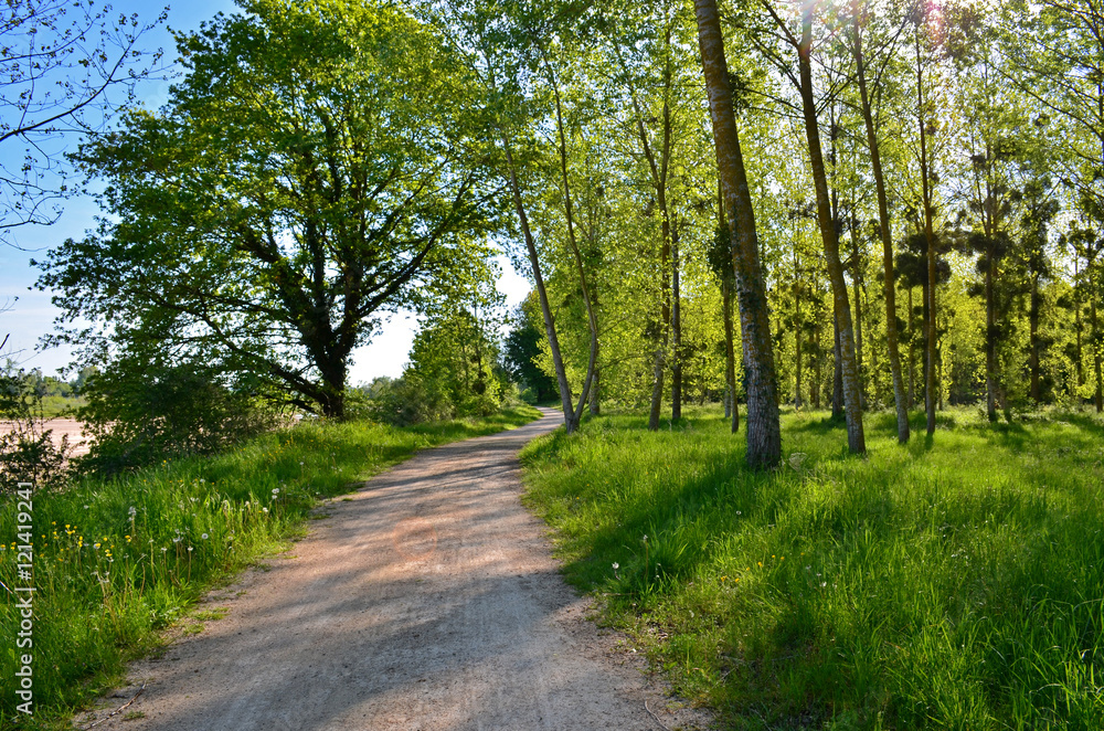 La Loire à vélo