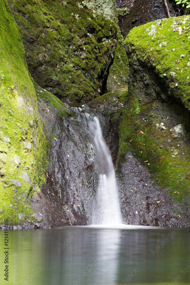 Fototapeta premium 亀が淵