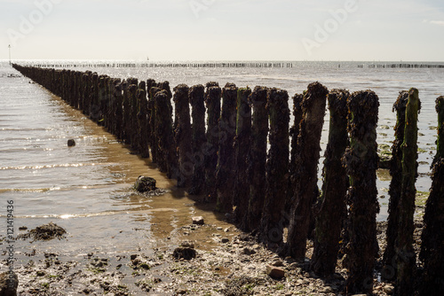 Wooden Beach Defences at Cudmore Grove Mersea