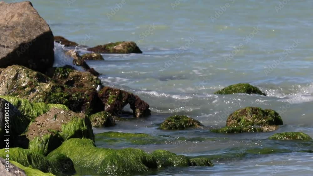 Waves crashing on rocks on the Gulf of Mexico. Waves crashing on rocks on the Gulf of Mexico.