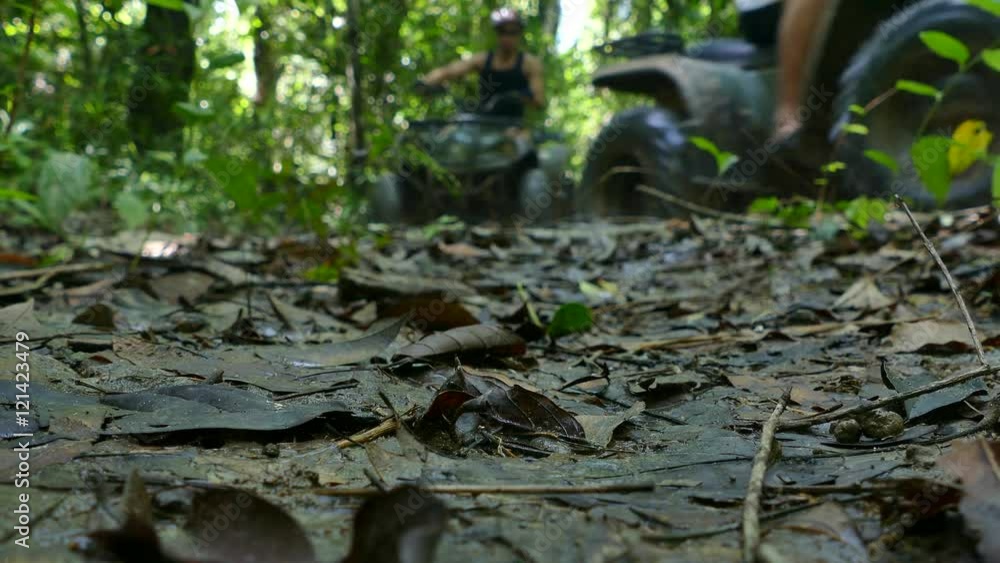 action of ATV in the rain forest of Thailand
action of ATV in the rain forest of Thailand