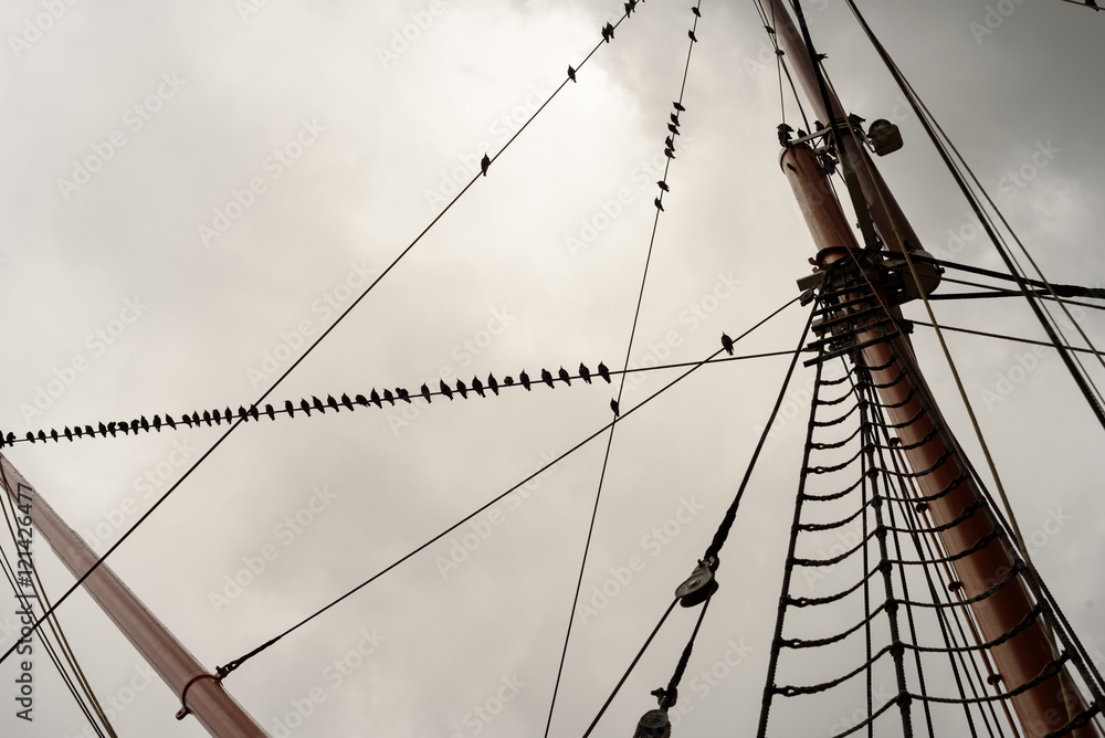 Fototapeta premium Ship Rigging and Sail Rope with Masts
