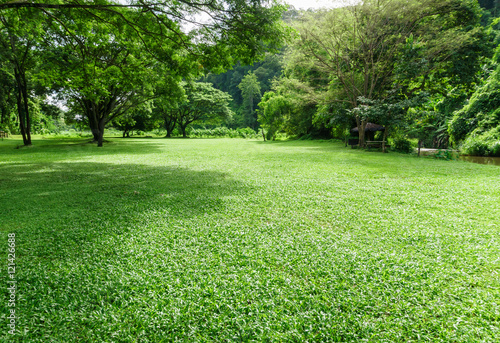 green lawn landscape with tree shadow in park