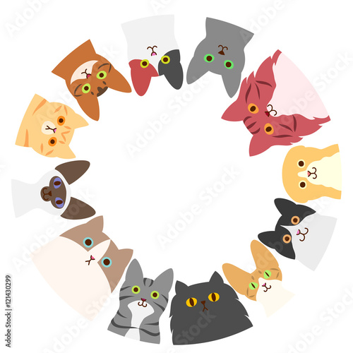 cats circle