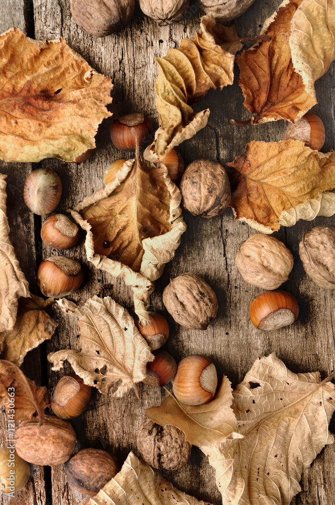 feuilles mortes, noisettes et noix sur planche en bois feuilles mortes, noisettes et noix sur planche en bois