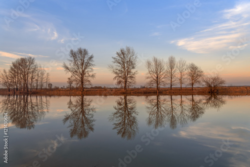 Fototapeta Naklejka Na Ścianę i Meble -  river trees clouds reflection