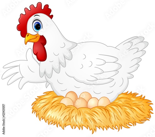 Cute hen brooding her egg