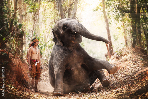 Obraz na plátně Relationship a man, mahout  Of elephant. Parenting with Love
