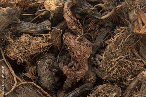Organic Spikenard (Nardostachys jatamansi) roots. Macro closeup background texture.