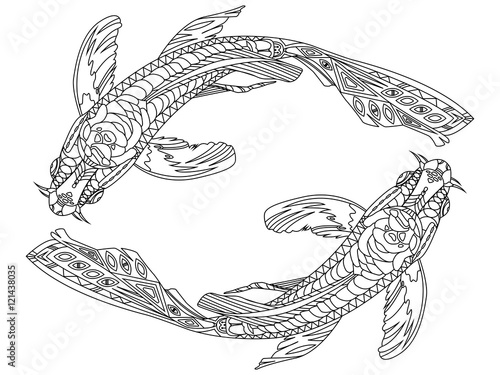 Koi carp fish coloring book for adults vector