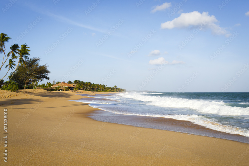 Fototapeta premium sri lanka landscape