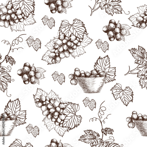 Seamless pattern of Bunch grapes sketch style vector illustration. Old engraving imitation. Hand drawn