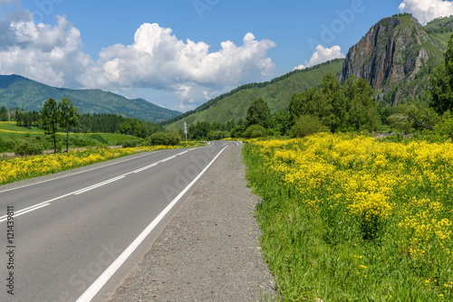 Wallpaper Mural road mountains sky asphalt flowers Torontodigital.ca