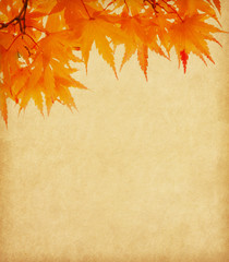 Old paper with orange autumn leaves