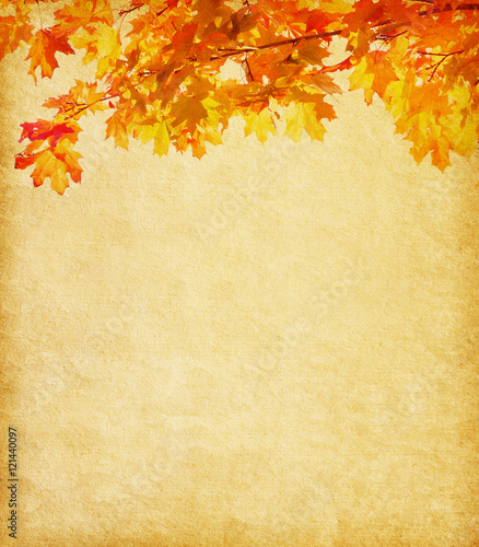 Old paper with colorful autumn leaves