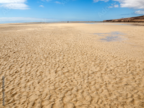 Beach Playa de Sotavento  Canary Island Fuerteventura  Spain