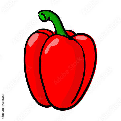 Bell pepper colored doodle. Hand drawn sketch
