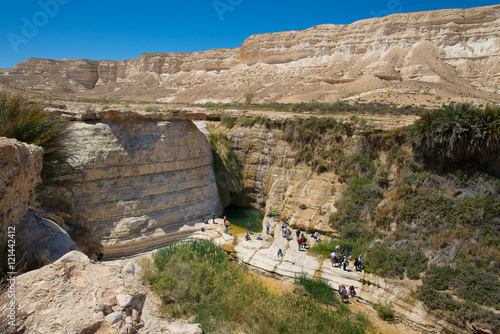Tourists to the pool is Agar source in the Negev desert in Israe photo