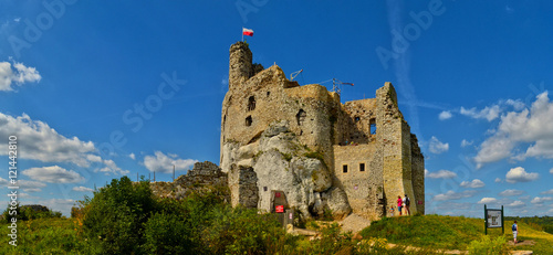 Mirów castle panorama