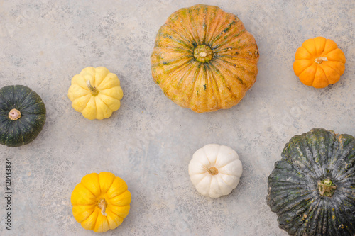 Beautiful top view of several colorful pumpkins on the grey .concrete background.