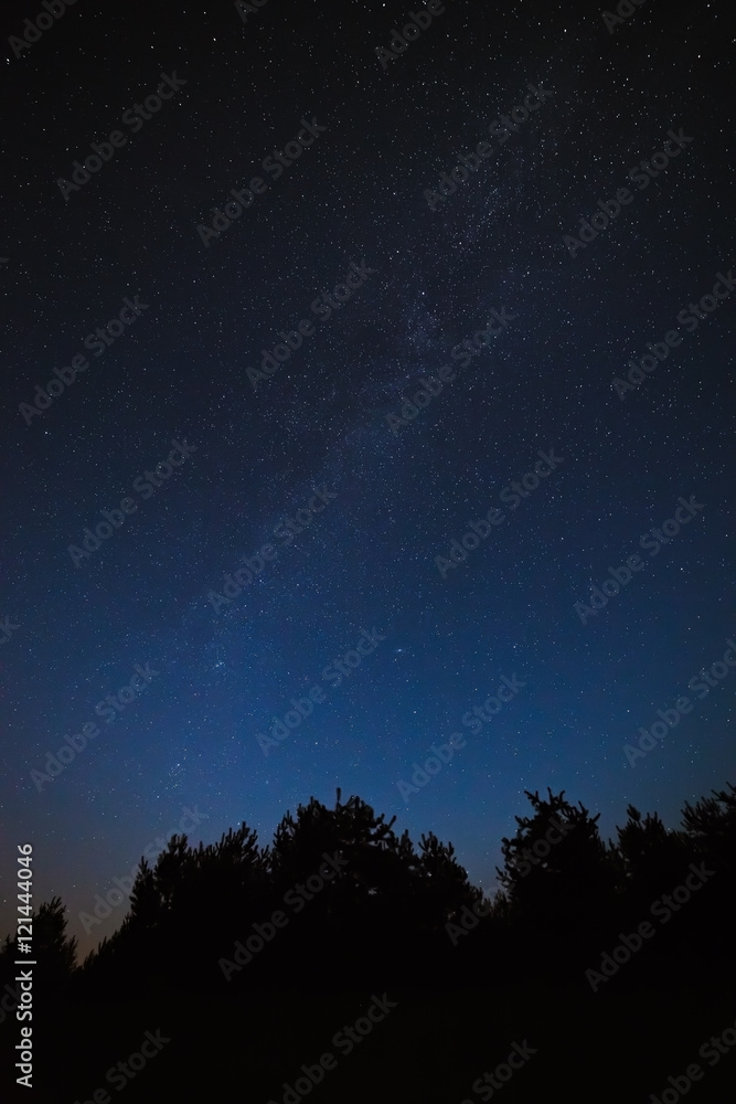 Night sky with bright stars. Against the background of tree crow