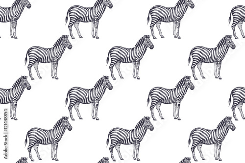 Seamless pattern with African zebras.